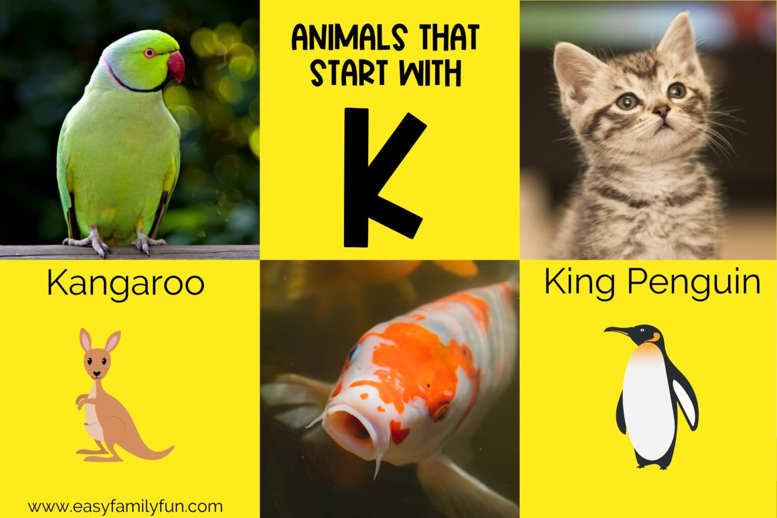 182 Thrilling Animals that Start with K