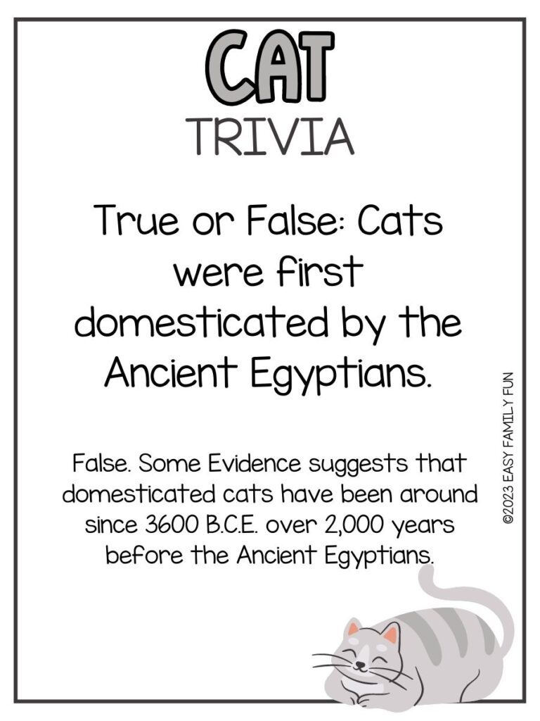 in post image with white background, grey border, grey title that says "Cat Trivia", text of a cat trivia question, and an image of a cat