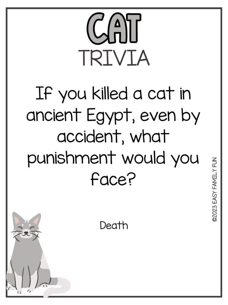 in post image with white background, grey border, grey title that says "Cat Trivia", text of a cat trivia question, and an image of a cat