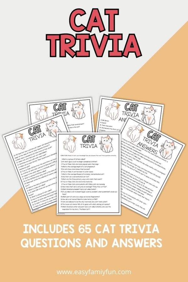 mockup image with orange and grey background, coral title that says "Cat Trivia" and images of cat trivia printable 