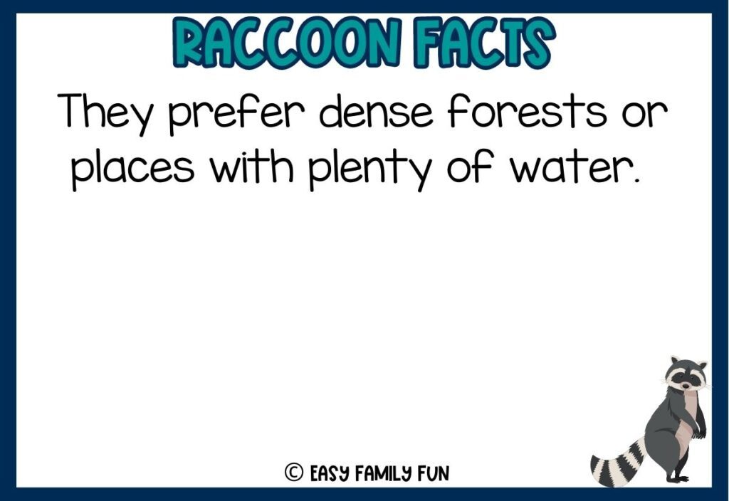 in post image with white background, dark blue border, bold teal title that says "Raccoon Facts", text of a fact about raccoons and an image of a raccoon