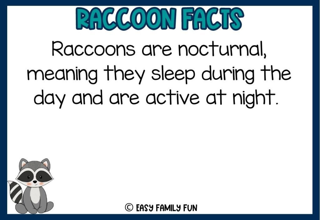 in post image with white background, dark blue border, bold teal title that says "Raccoon Facts", text of a fact about raccoons and an image of a raccoon