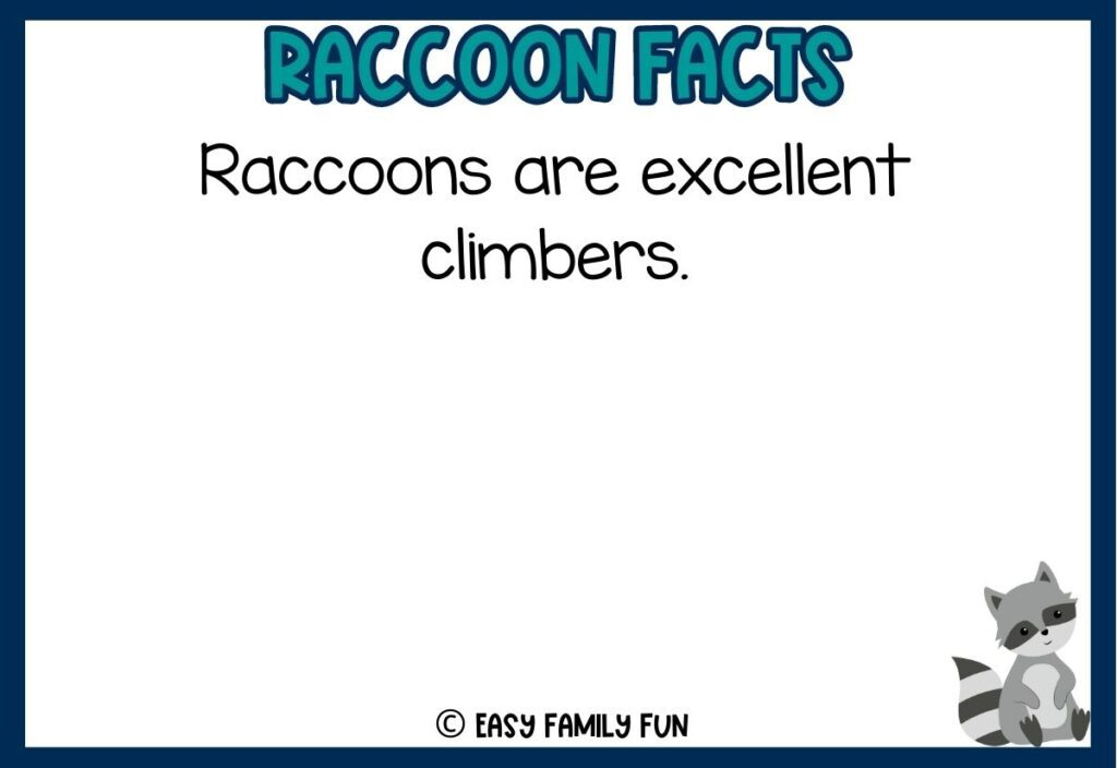 in post image with white background, dark blue border, bold teal title that says "Raccoon Facts", text of a fact about raccoons and an image of a raccoon