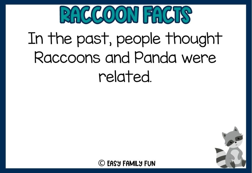 in post image with white background, dark blue border, bold teal title that says "Raccoon Facts", text of a fact about raccoons and an image of a raccoon