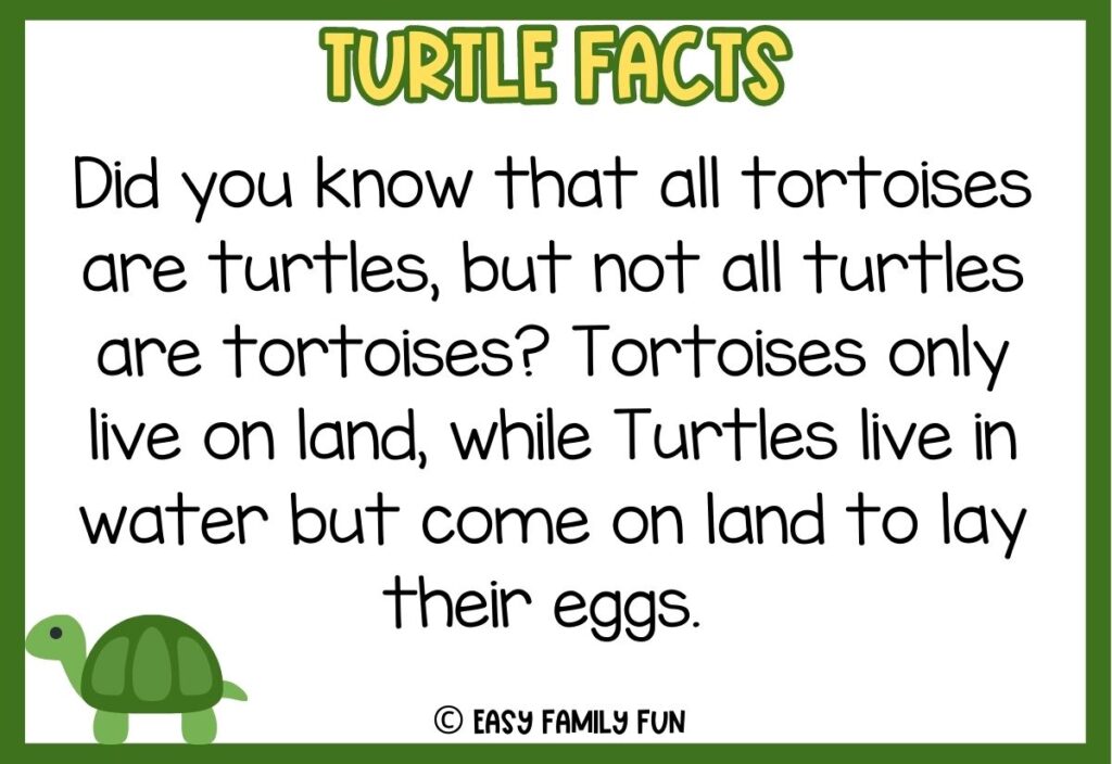 in post image with green border, bold yellow title that says "Turtle Facts", text of a fact about turtles and an image of a turtle