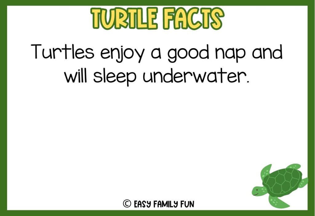 in post image with green border, bold yellow title that says "Turtle Facts", text of a fact about turtles and an image of a turtle