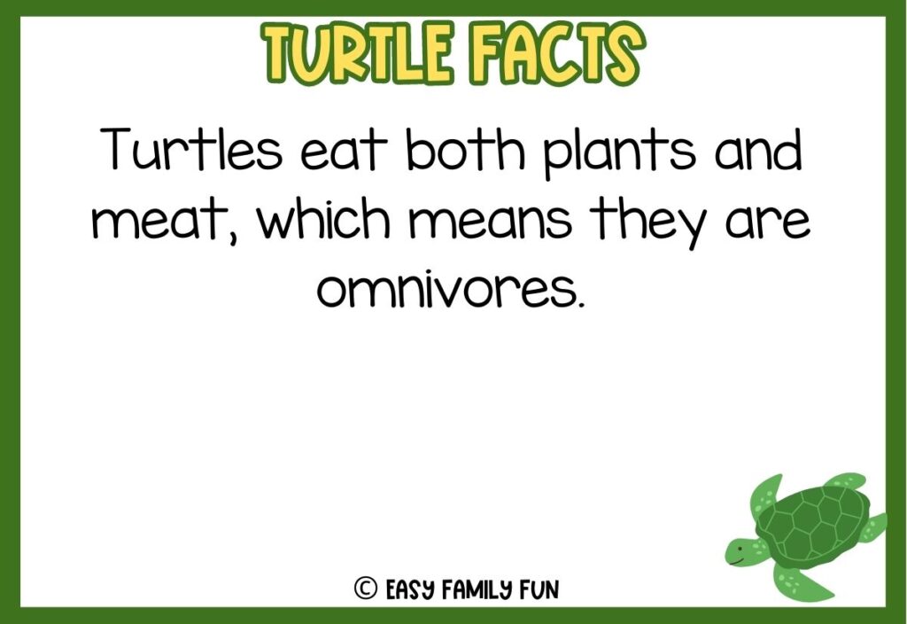 in post image with green border, bold yellow title that says "Turtle Facts", text of a fact about turtles and an image of a turtle