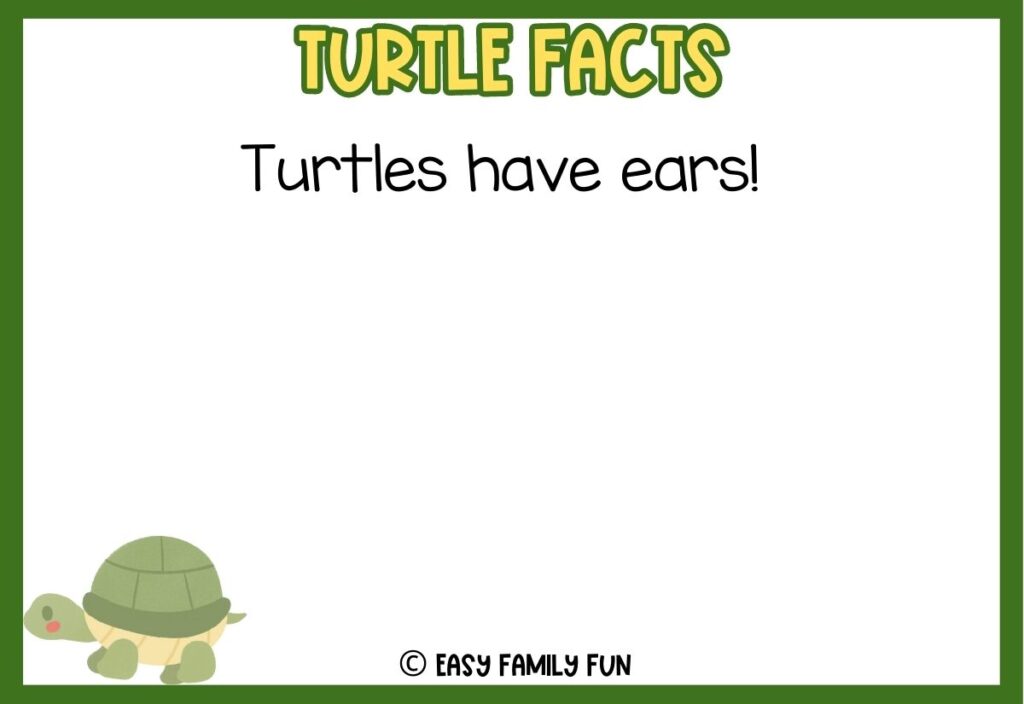 in post image with green border, bold yellow title that says "Turtle Facts", text of a fact about turtles and an image of a turtle