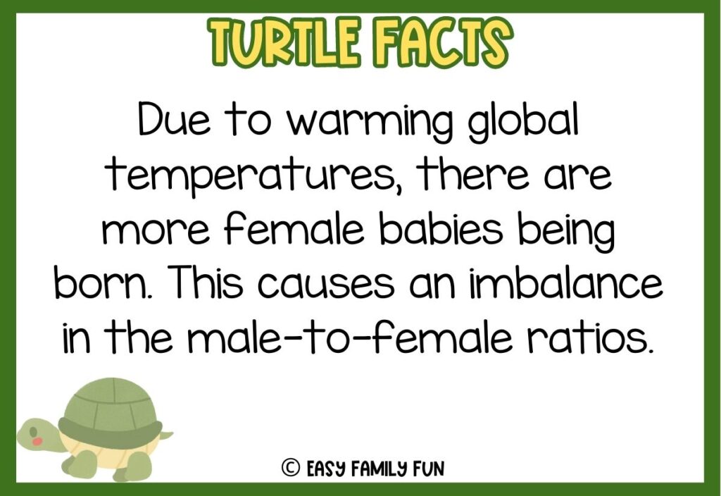 in post image with green border, bold yellow title that says "Turtle Facts", text of a fact about turtles and an image of a turtle