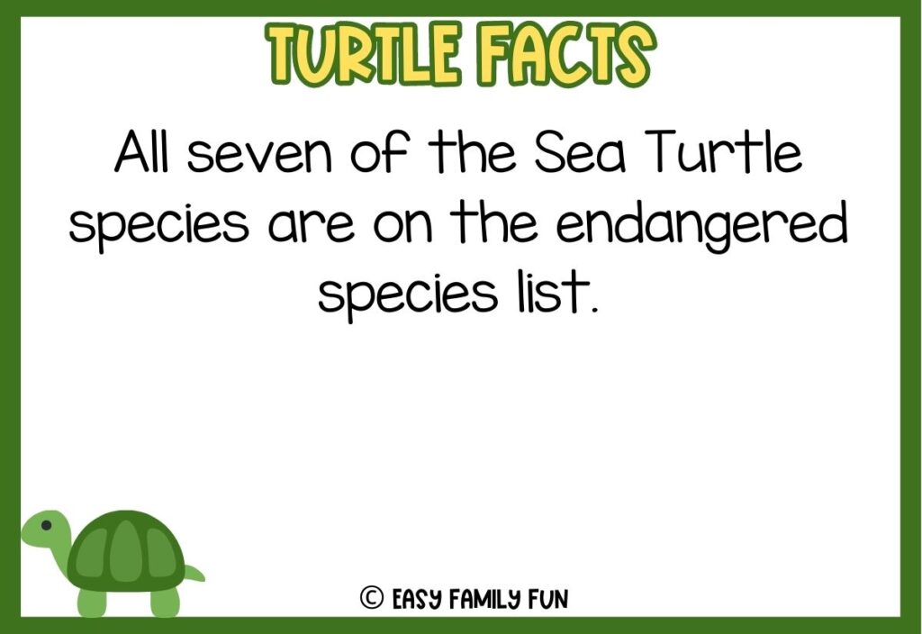 in post image with green border, bold yellow title that says "Turtle Facts", text of a fact about turtles and an image of a turtle