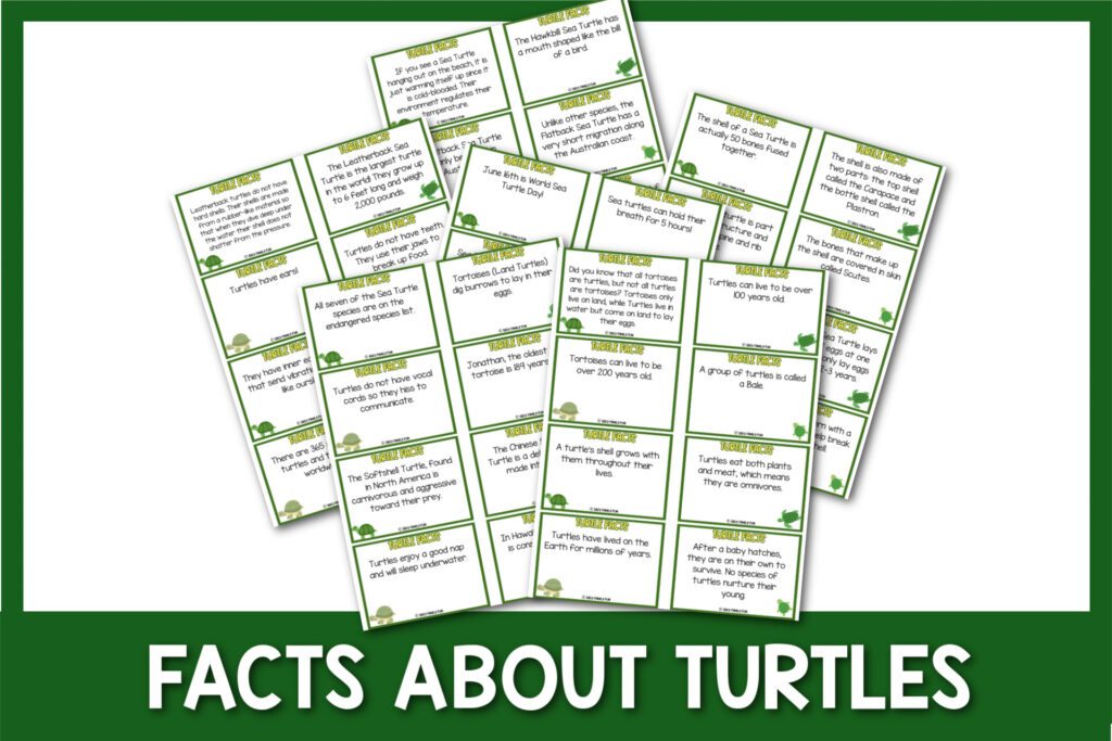 featured image with white background, green border, bold white title that says "Facts About Turtles" and images of turtle fact printable cards.
