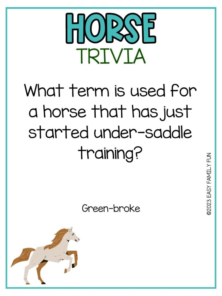 in post image with white background, teal border, teal title that says "Horse Trivia", text of a horse trivia question and an image of a horse