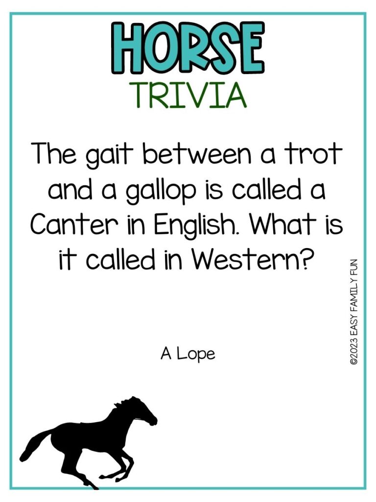 100 Best Horse Trivia Questions and Answers