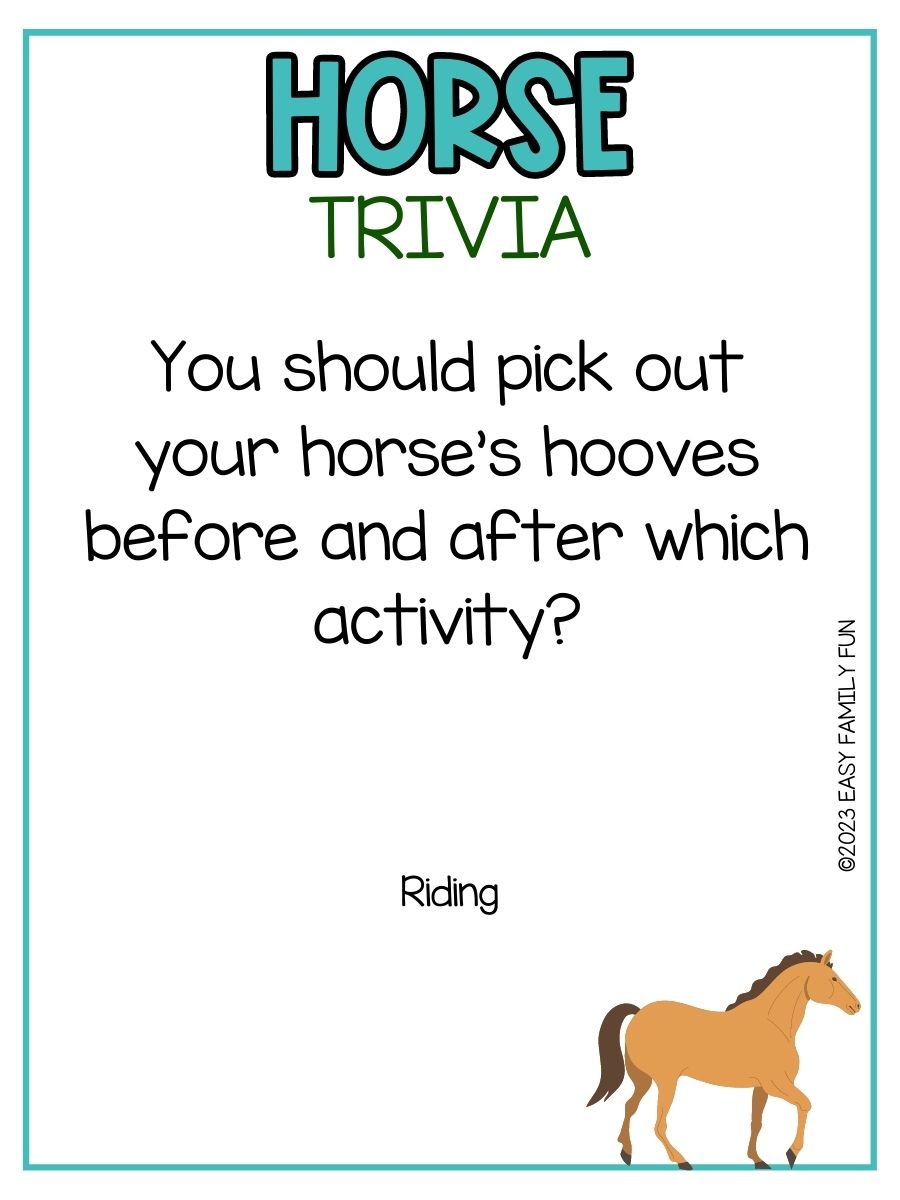 100 Best Horse Trivia Questions and Answers