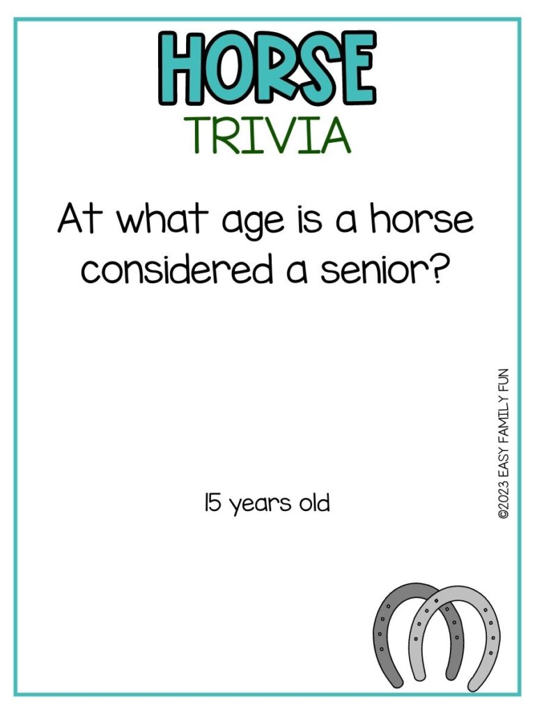 in post image with white background, teal border, teal title that says "Horse Trivia", text of a horse trivia question and an image of a horseshoe