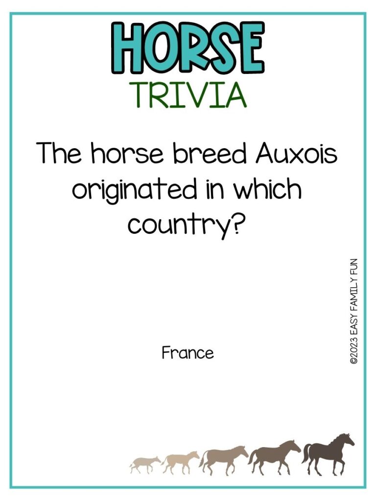 in post image with white background, teal border, teal title that says "Horse Trivia", text of a horse trivia question and an image of a horse