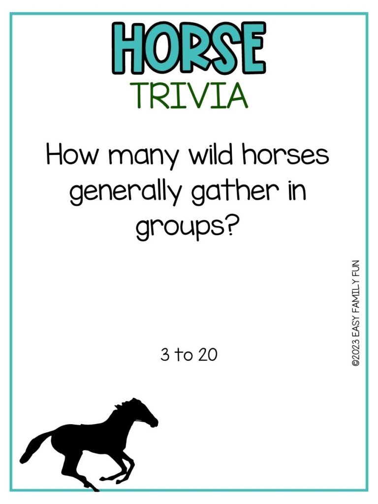 in post image with white background, teal border, teal title that says "Horse Trivia", text of a horse trivia question and an image of a horse