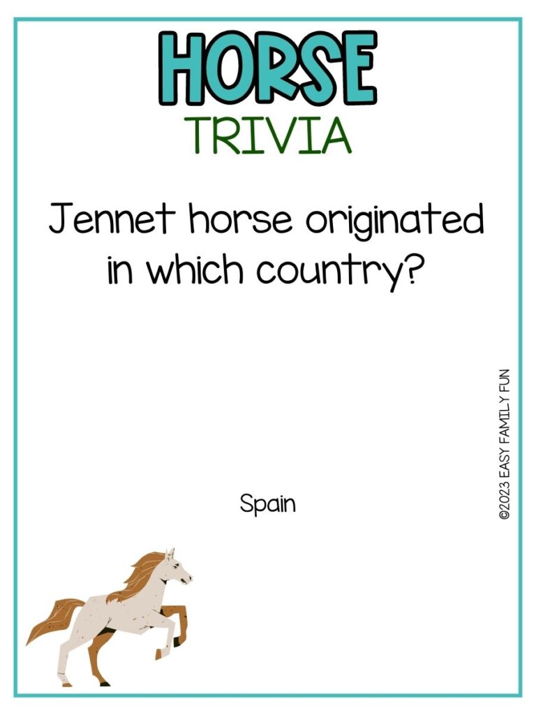 in post image with white background, teal border, teal title that says "Horse Trivia", text of a horse trivia question and an image of a horse