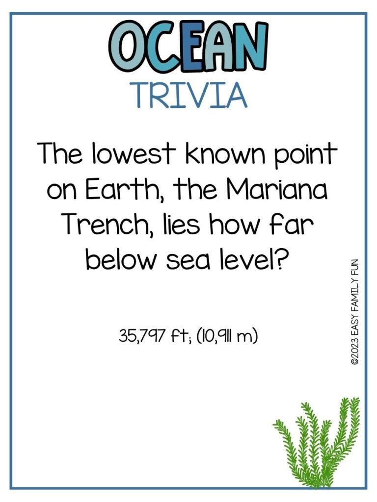 in post image with white background, blue border, blue title that says "Ocean Trivia", text of an ocean trivia question, and an ocean image