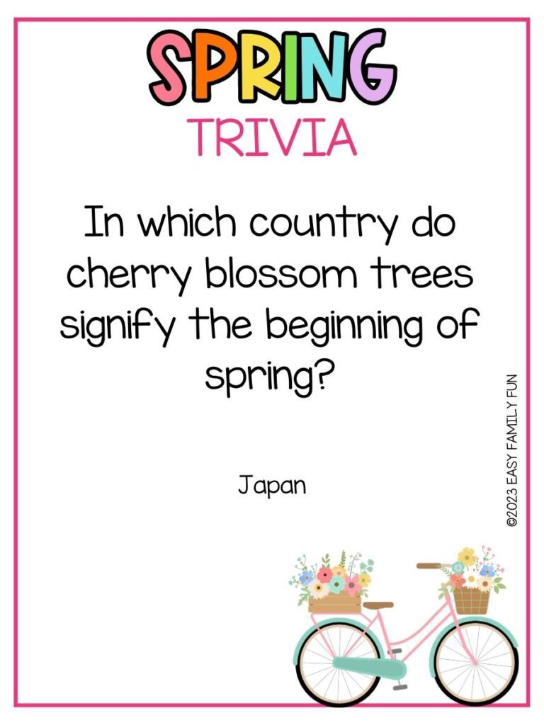 in post image with white background, pink border, bold rainbow title that says "Spring Trivia", text of spring trivia question and image of bike