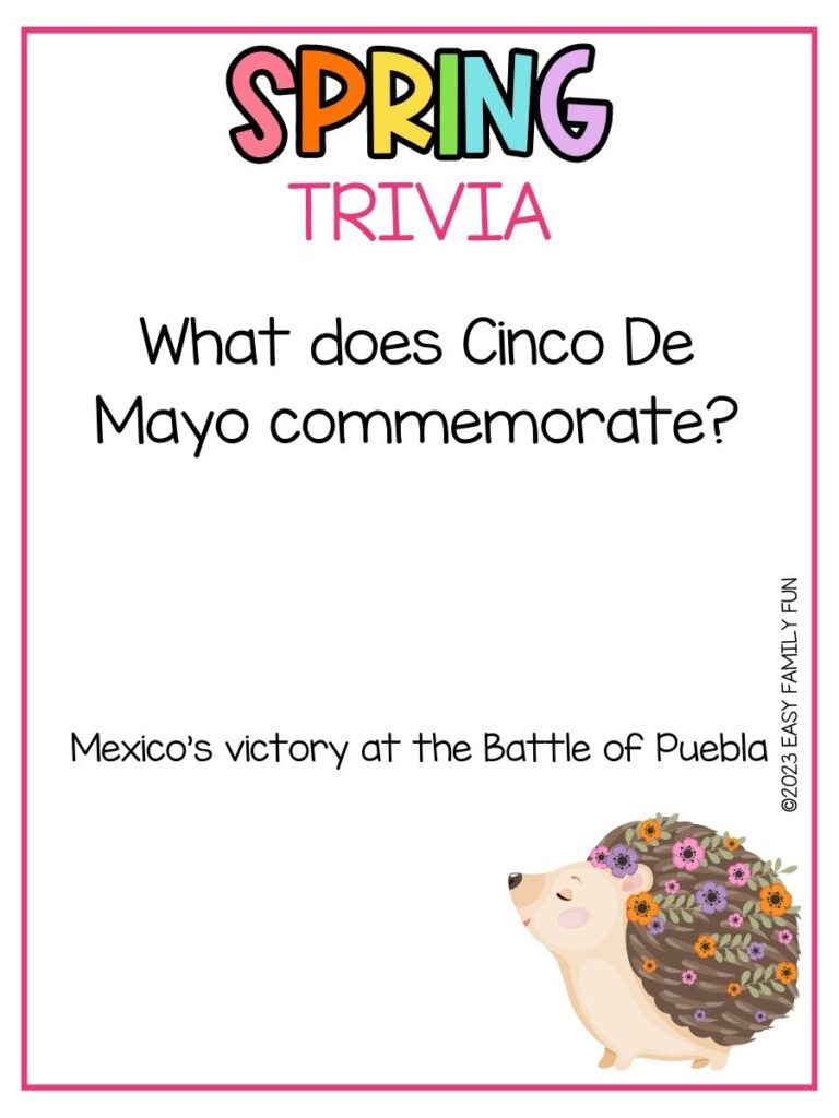 in post image with white background, pink border, bold rainbow title that says "Spring Trivia", text of spring trivia question and image of hedgehog
