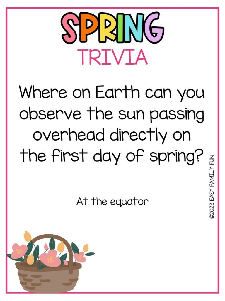 in post image with white background, pink border, bold rainbow title that says "Spring Trivia", text of spring trivia question and image of basket of flower
