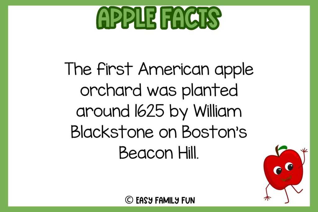 white background, green border, text of apple facts, and an image waving of cartoon red apple 