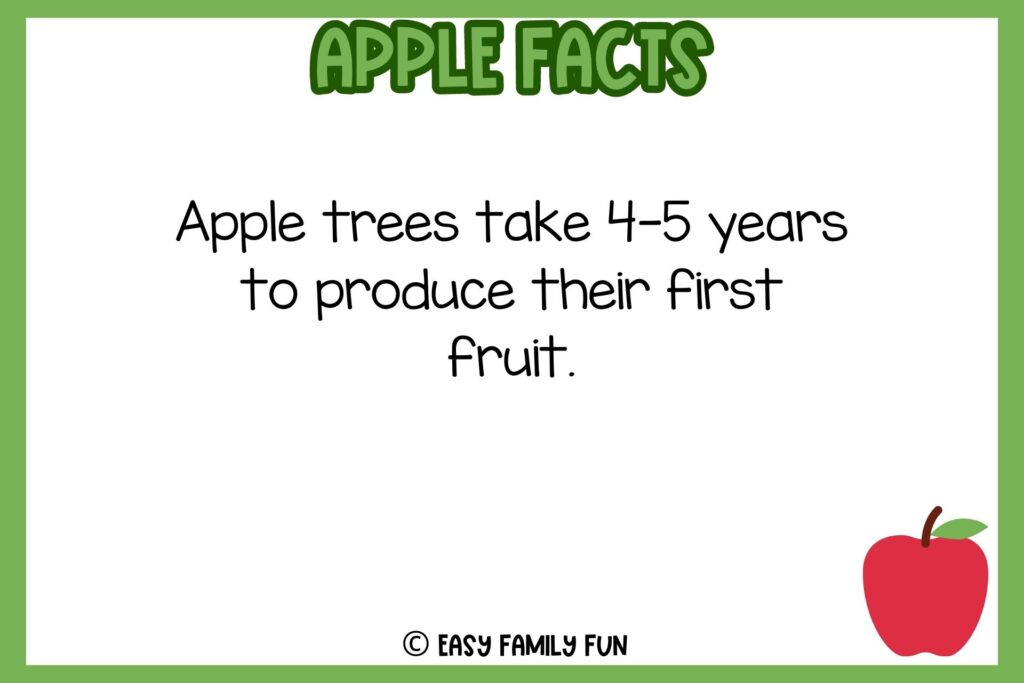 white background, green border, text of apple facts, and an of image red apple 
