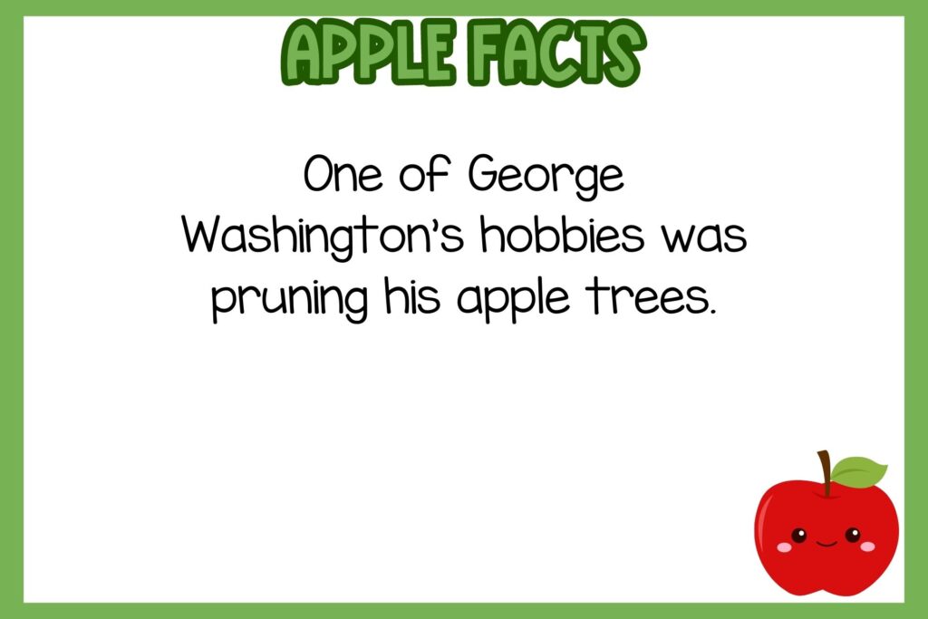 white background, green border, text of apple facts, and an image of cute red apple
