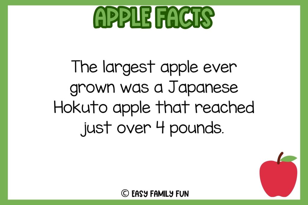 white background, green border, text of apple facts, and an image red apple 