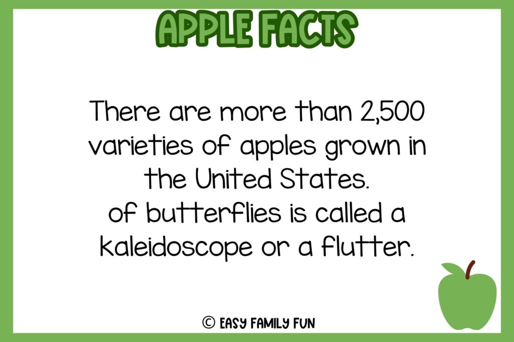 white background, green border, text of apple facts, and an image green apple 