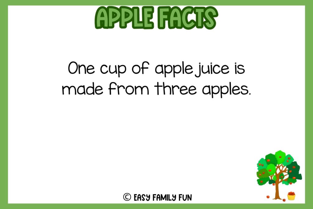 white background, green border, text of apple facts, and an image apple tree full of fruits 