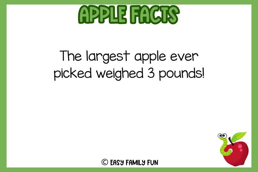 white background, green border, text of apple facts, and an image of worn in apple 