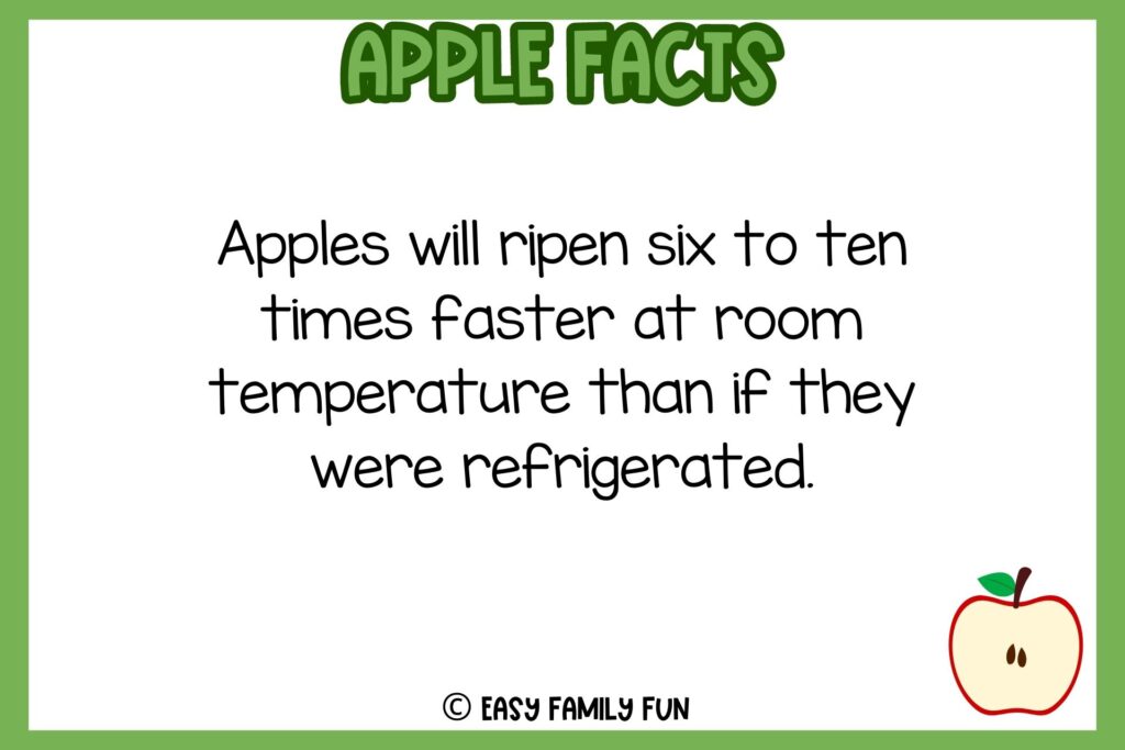 white background, green border, text of apple facts, and an image of apple sliced into half