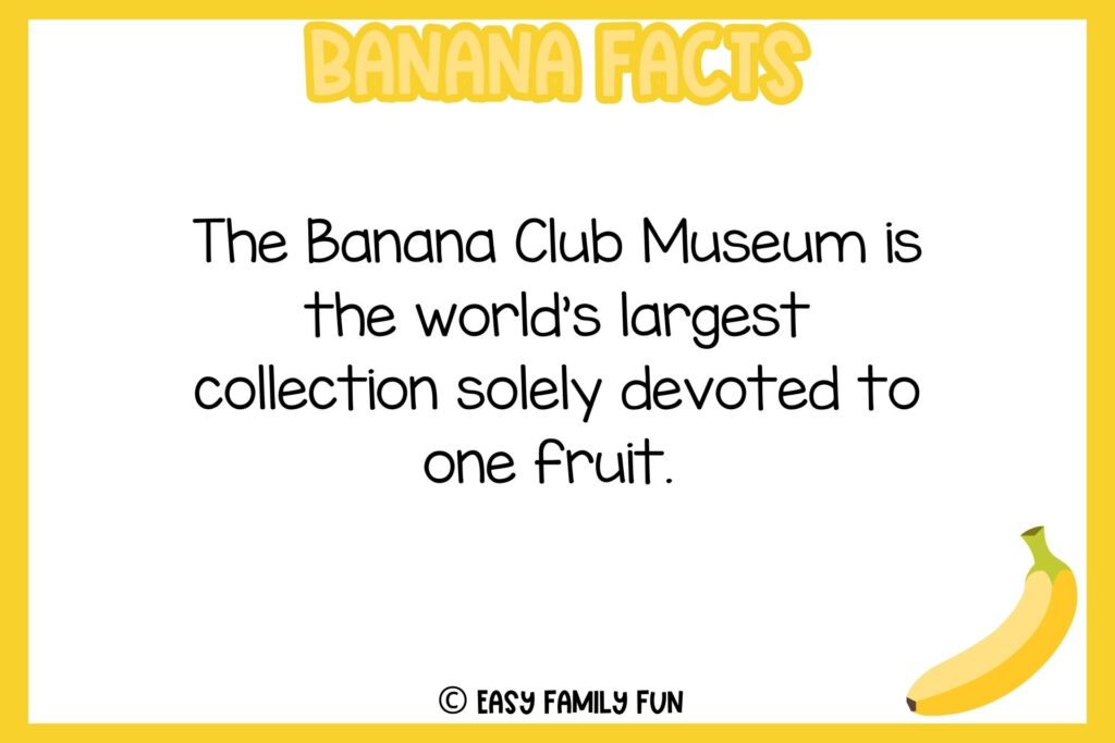 white background, yellow border, text of banana facts, and an image of one piece banana
