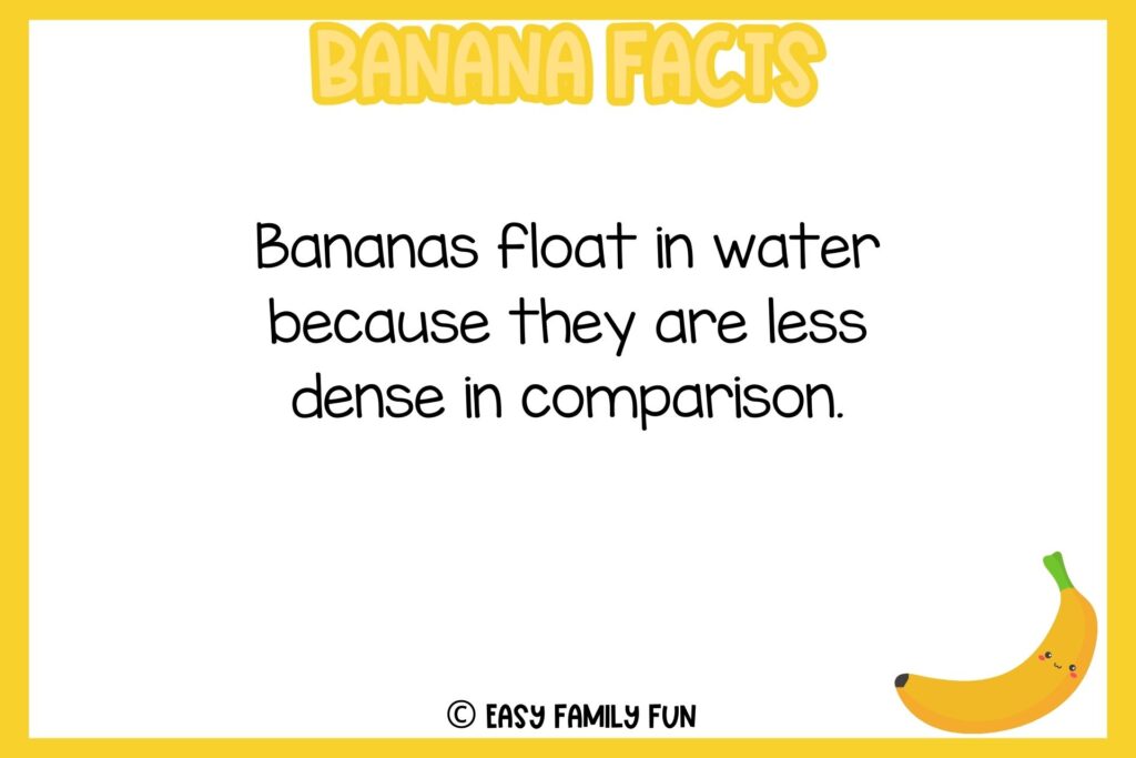 white background, yellow border, text of banana facts, and an image of a cute cartoon banana