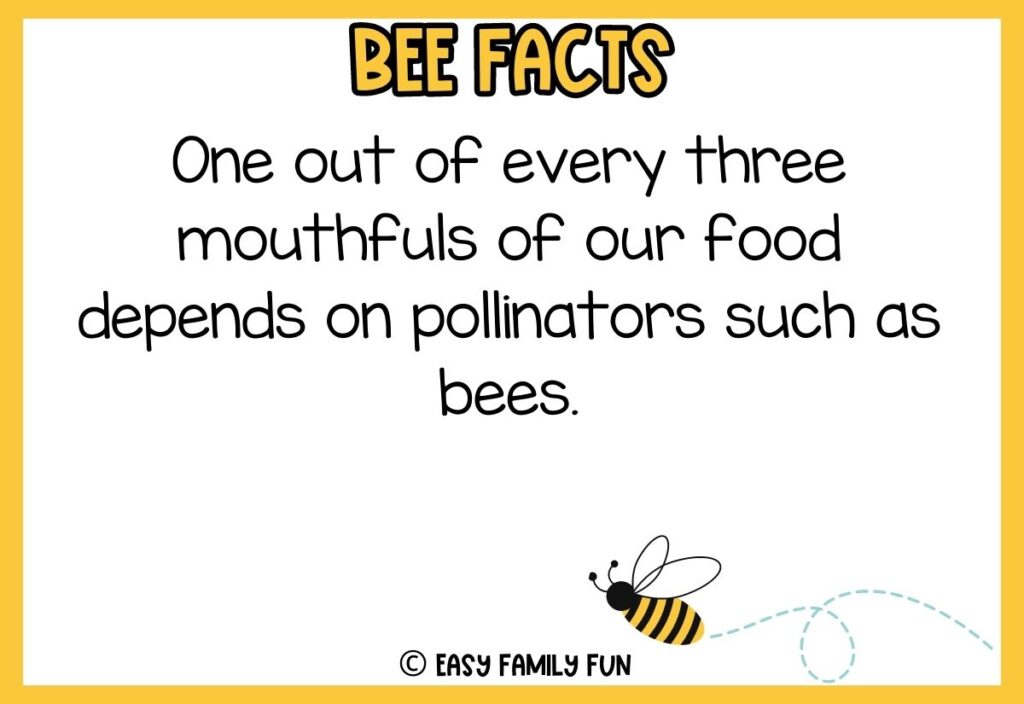 in post image with white background, yellow border, bold title that says "Bee Facts", text of a fact about bees, and an image of a bee