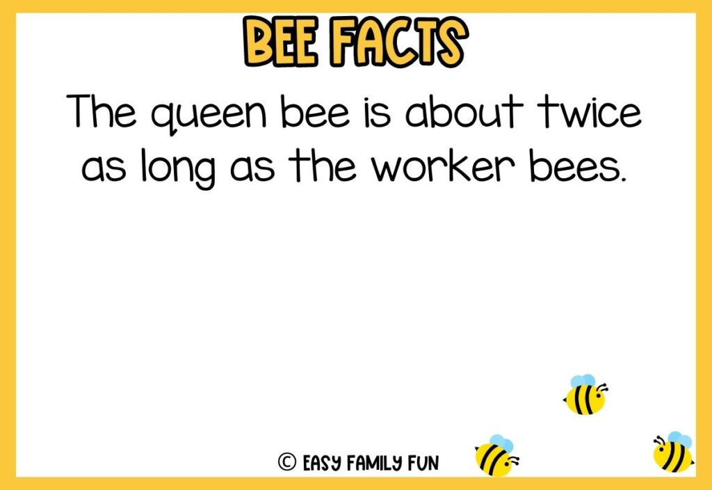 in post image with white background, yellow border, bold title that says "Bee Facts", text of a fact about bees, and an image of bees