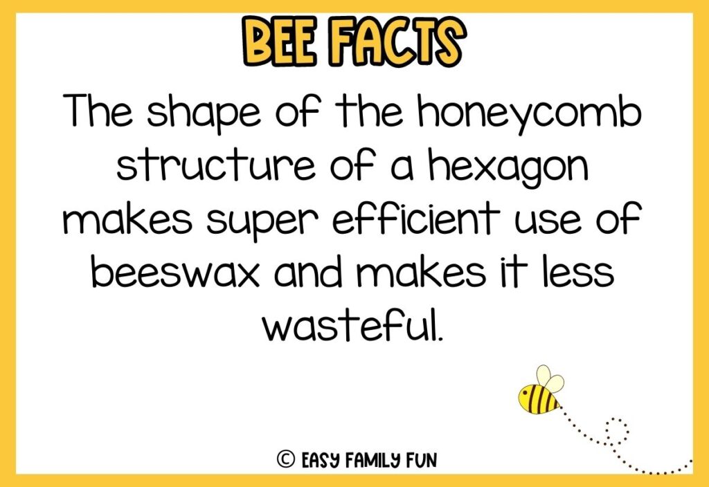 in post image with white background, yellow border, bold title that says "Bee Facts", text of a fact about bees, and an image of bees