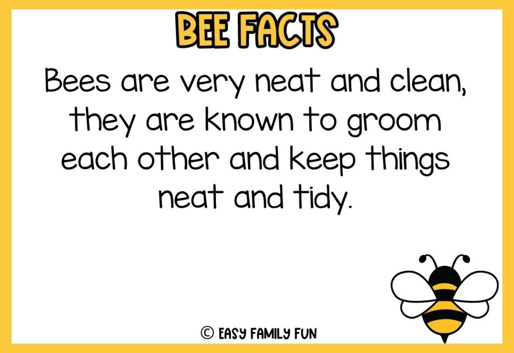 in post image with white background, yellow border, bold title that says "Bee Facts", text of a fact about bees, and an image of a bee