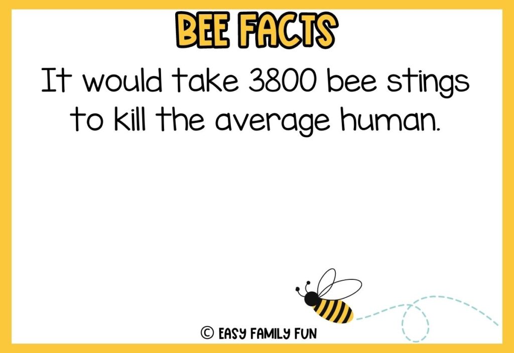 in post image with white background, yellow border, bold title that says "Bee Facts", text of a fact about bees, and an image of a bee