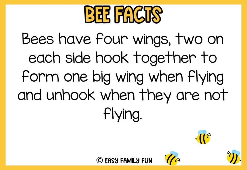 in post image with white background, yellow border, bold title that says "Bee Facts", text of a fact about bees, and an image of bees