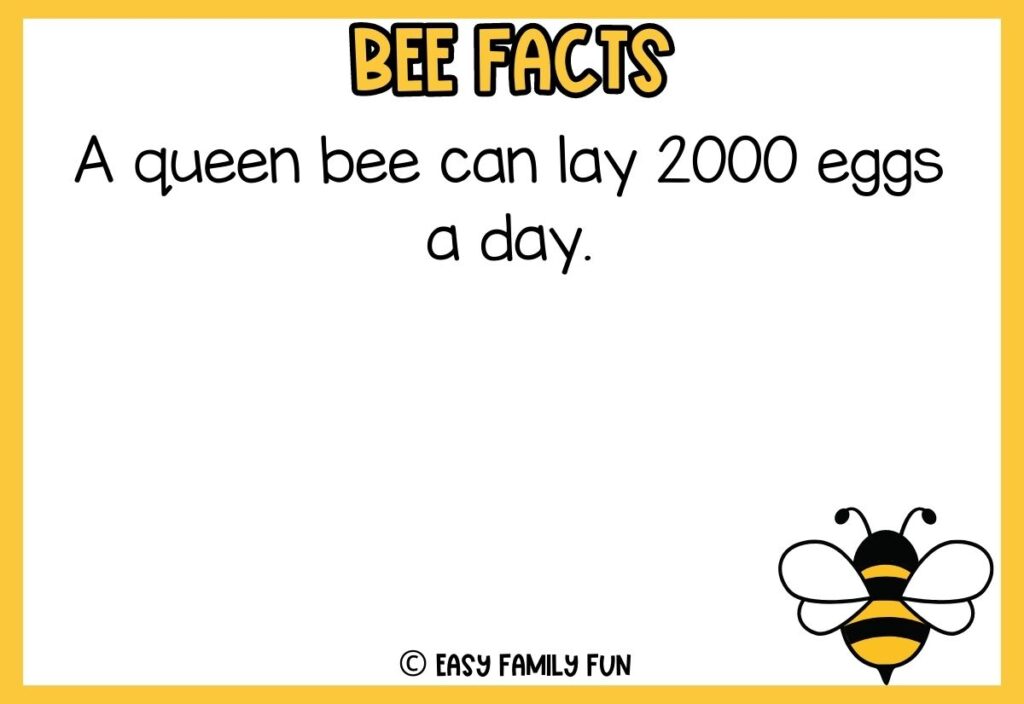 in post image with white background, yellow border, bold title that says "Bee Facts", text of a fact about bees, and an image of a bee