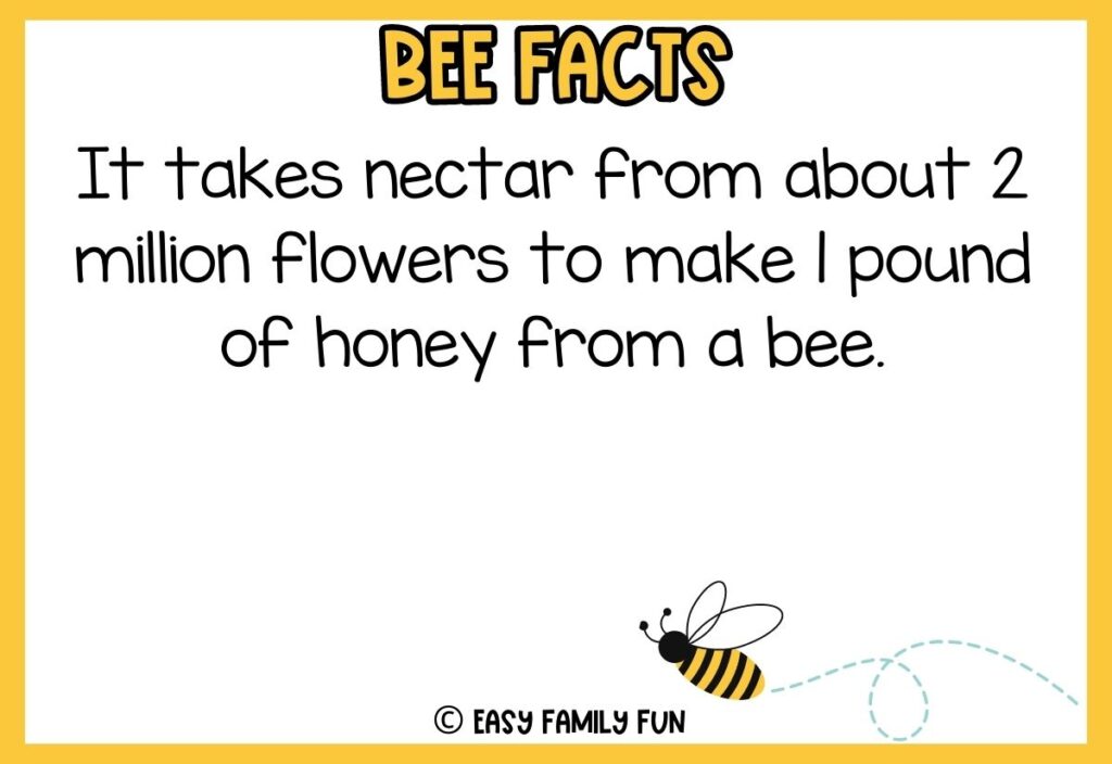 in post image with white background, yellow border, bold title that says "Bee Facts", text of a fact about bees, and an image of a bee