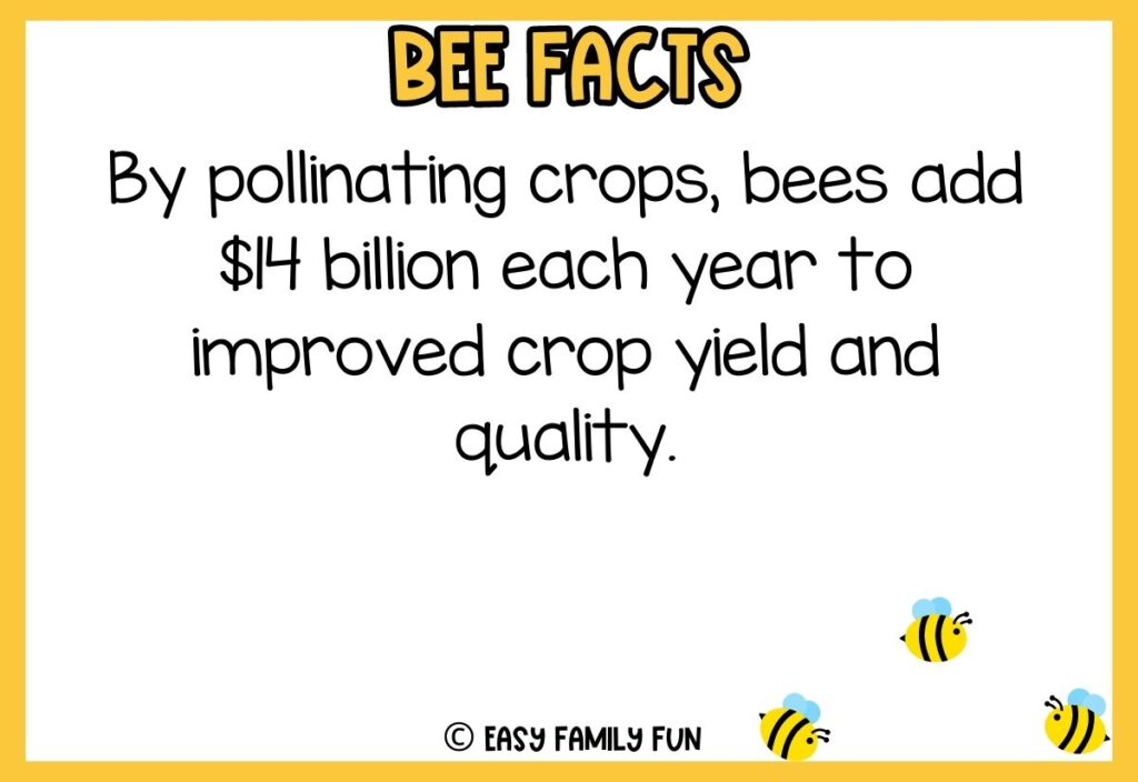 in post image with white background, yellow border, bold title that says "Bee Facts", text of a fact about bees, and an image of bees