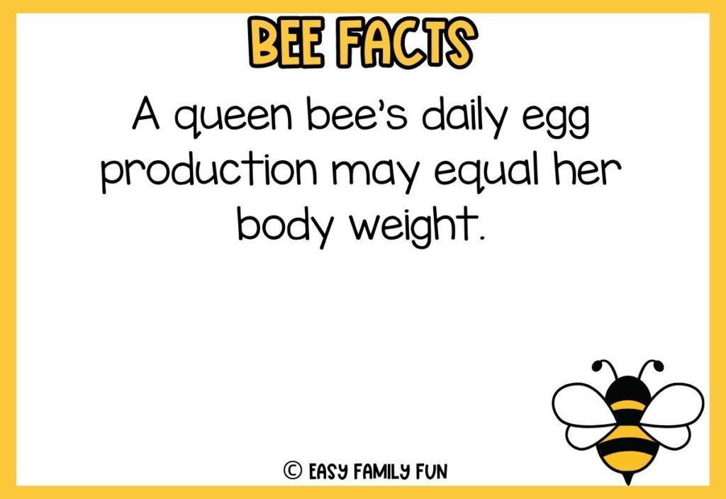 in post image with white background, yellow border, bold title that says "Bee Facts", text of a fact about bees, and an image of a bee