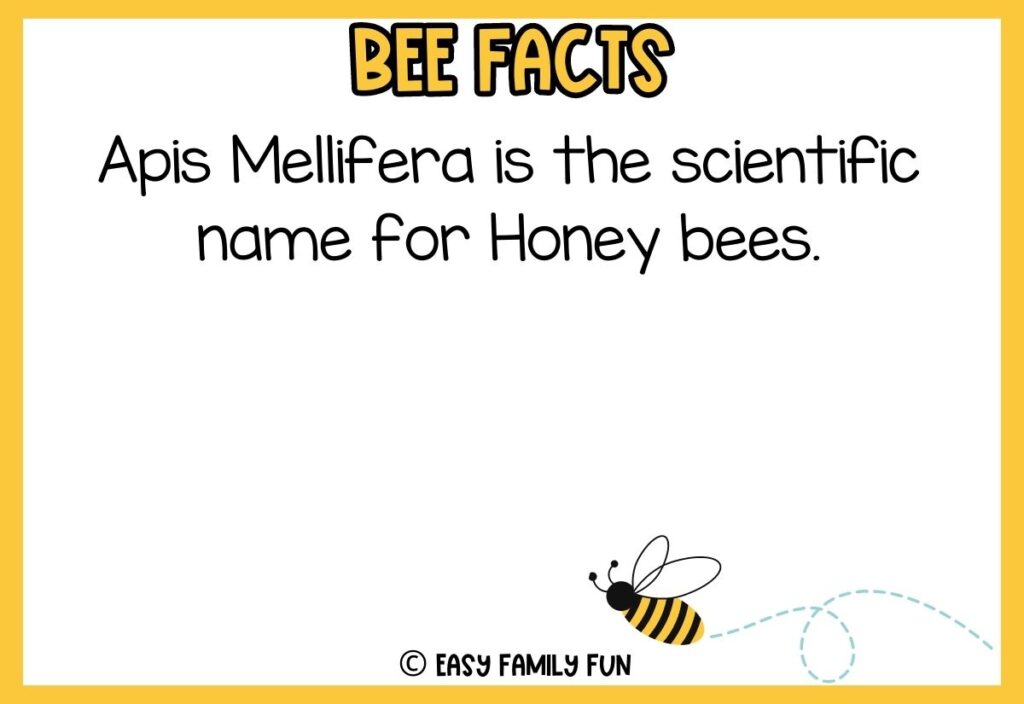 in post image with white background, yellow border, bold title that says "Bee Facts", text of a fact about bees, and an image of a bee