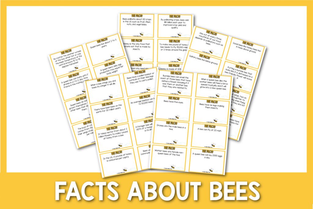 featured image with white background, yellow border, bold title that says "Facts About Bees" and image of bee printable fact cards