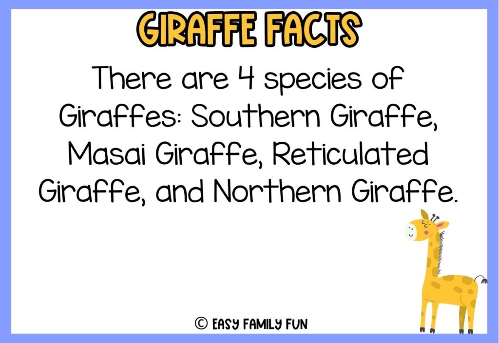 in post image with blue border, white background, yellow title that says "Giraffe Facts", text of a fact about giraffes, and an image of a giraffe