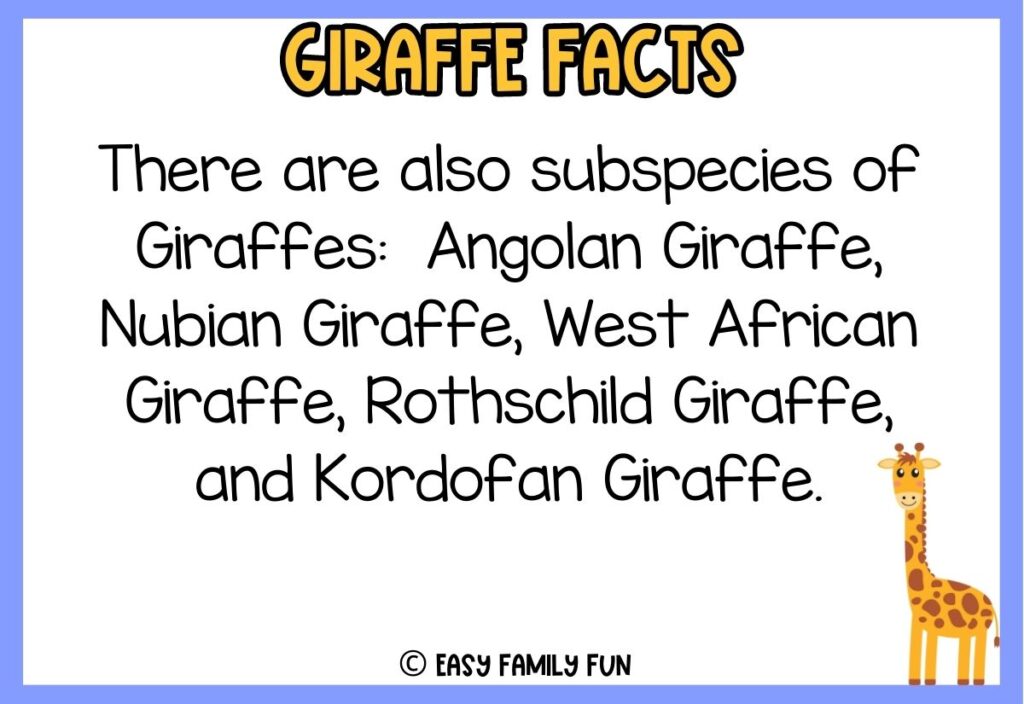 in post image with blue border, white background, yellow title that says "Giraffe Facts", text of a fact about giraffes, and an image of a giraffe